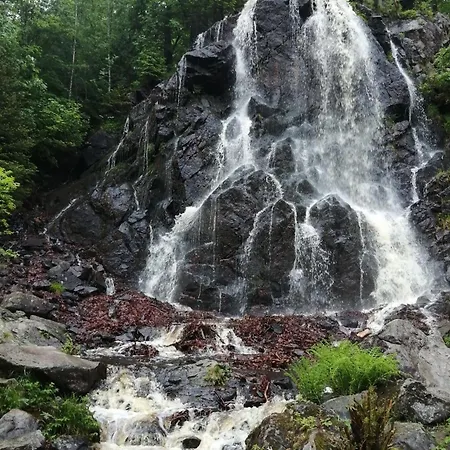 Bergrauschen - Waldbude * Goslar